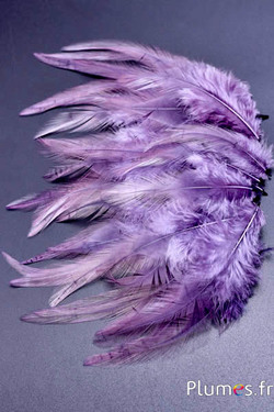 Hahnenkreuz - 8-12 cm - flieder-grau